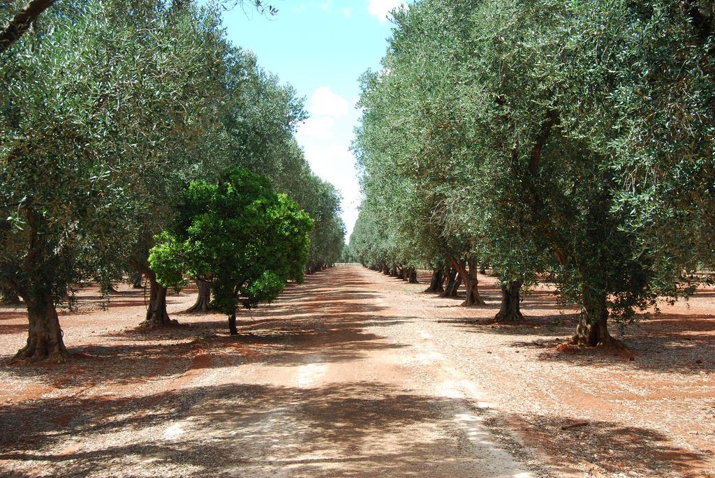 Terra Di Leuca Villa Salve Exterior foto