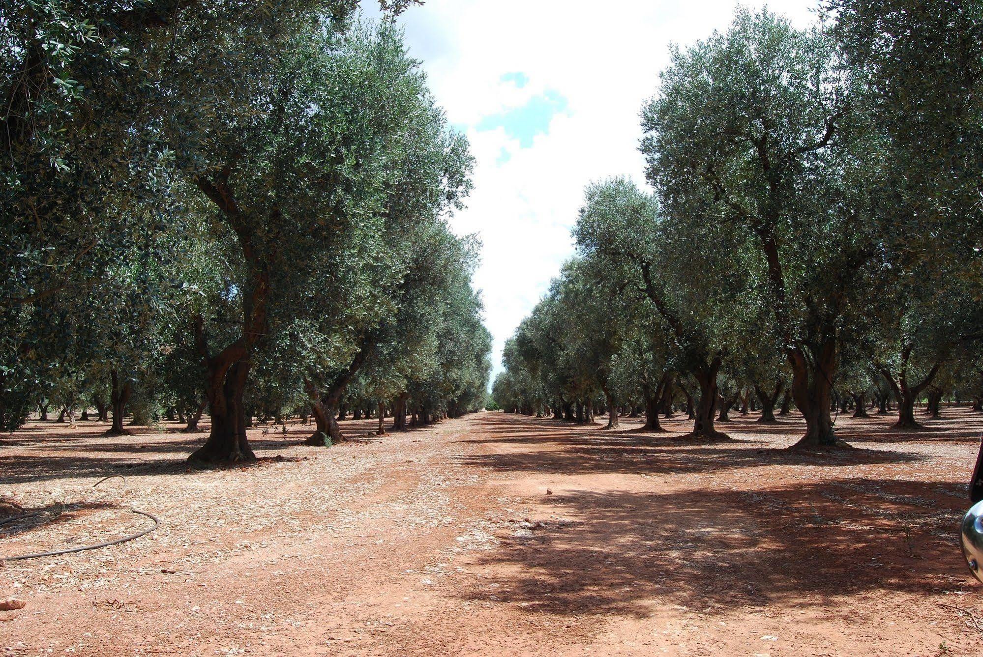 Terra Di Leuca Villa Salve Exterior foto