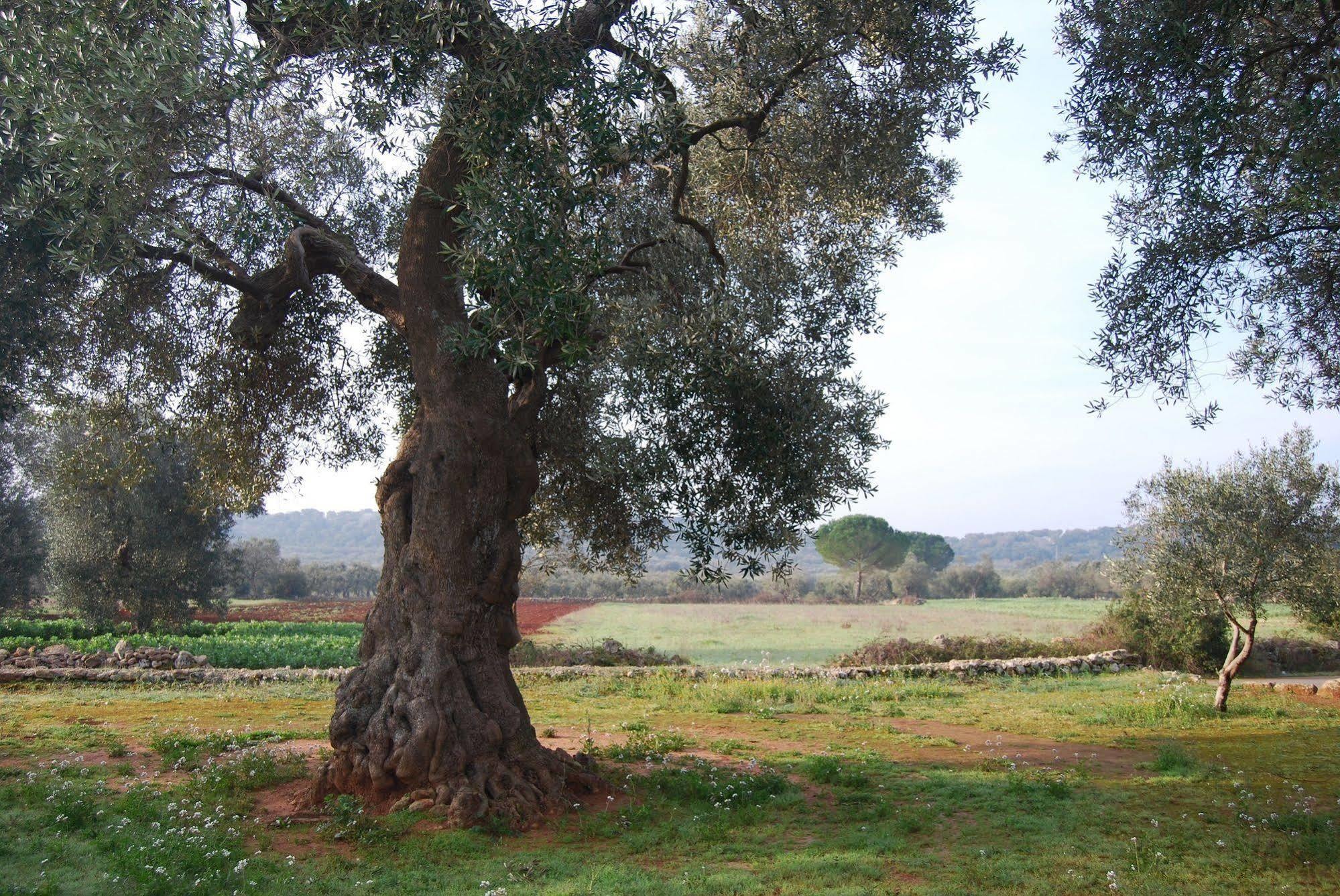 Terra Di Leuca Villa Salve Exterior foto