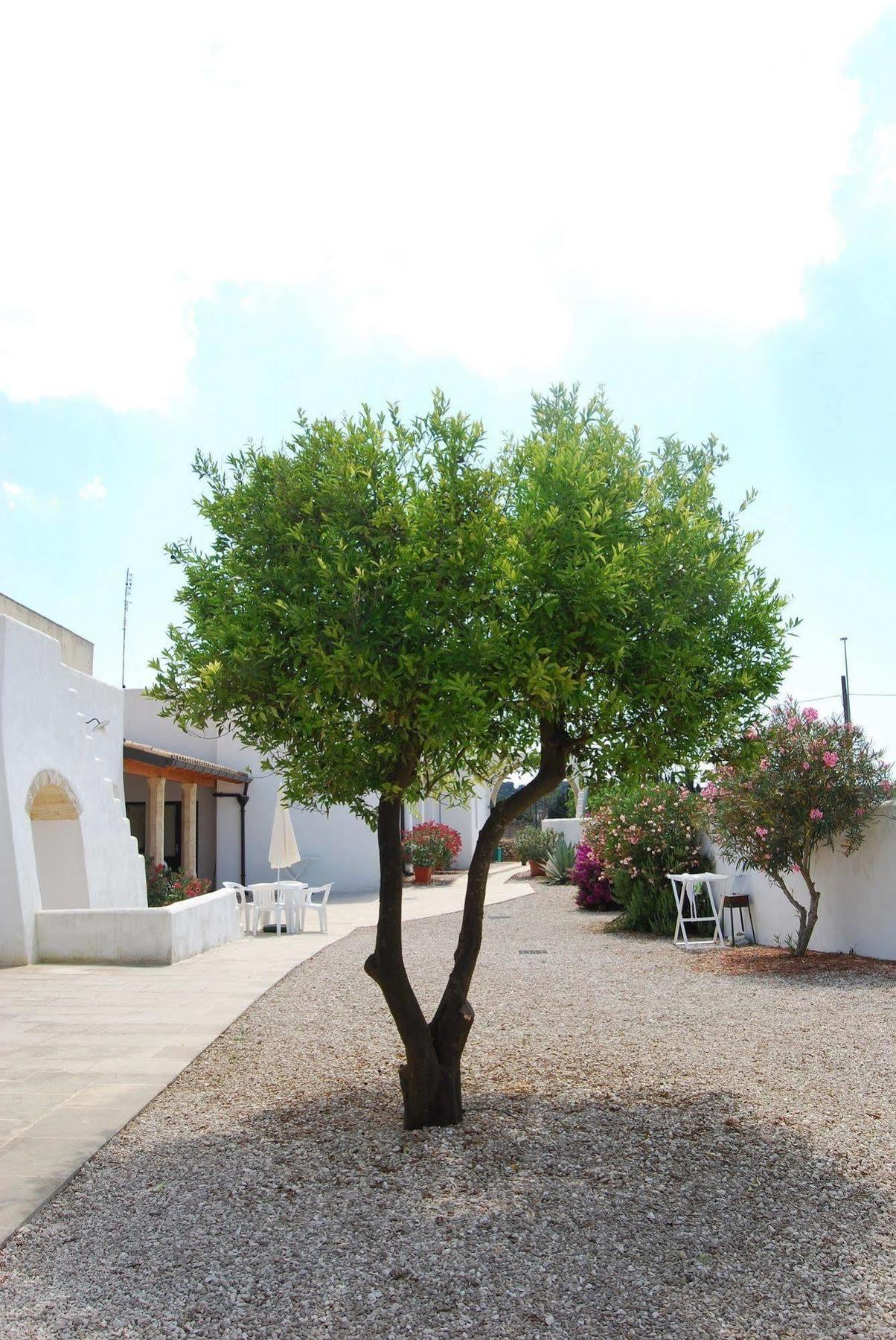 Terra Di Leuca Villa Salve Exterior foto